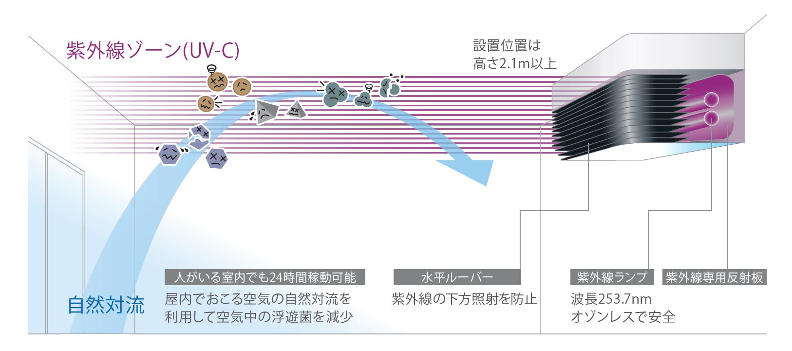 紫外線ゾーン