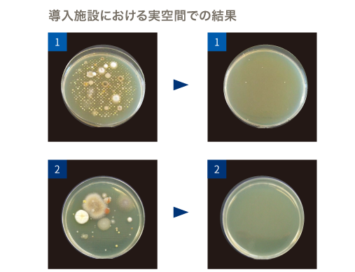 導入先での浮遊菌検査