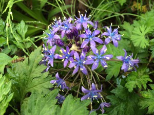 GWには弊社庭園のお花にハッチも遊びに来ました。